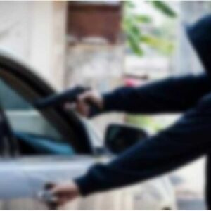 MOTORES ANTIPORTONAZO